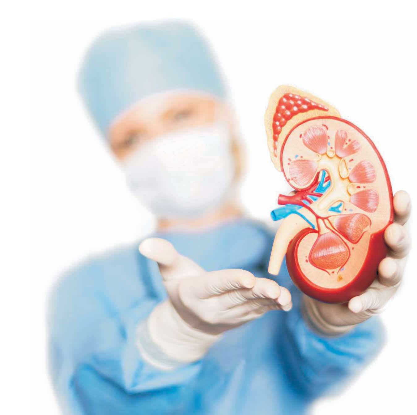 Safeguard Your Kidneys In Diabetes
