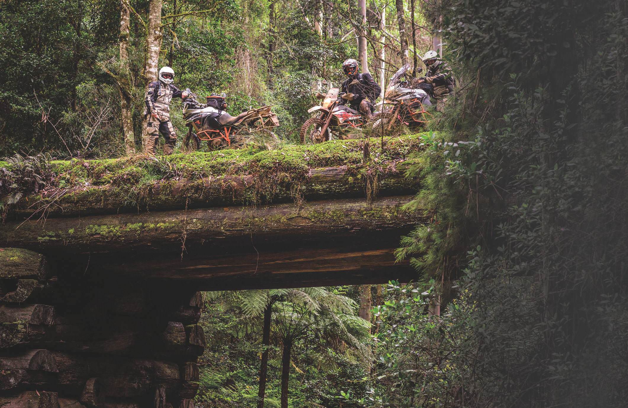 KTM Adventure Rallye 2017-The Blue Mountains