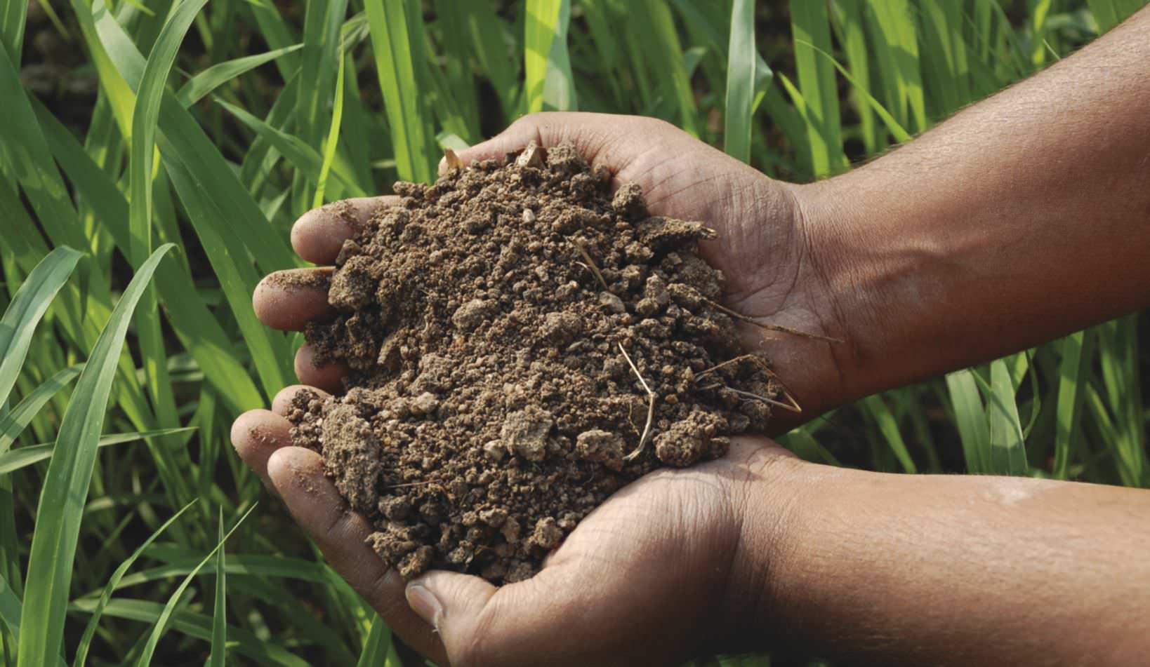 how-soil-fertility-can-alleviate-poverty-of-farmers