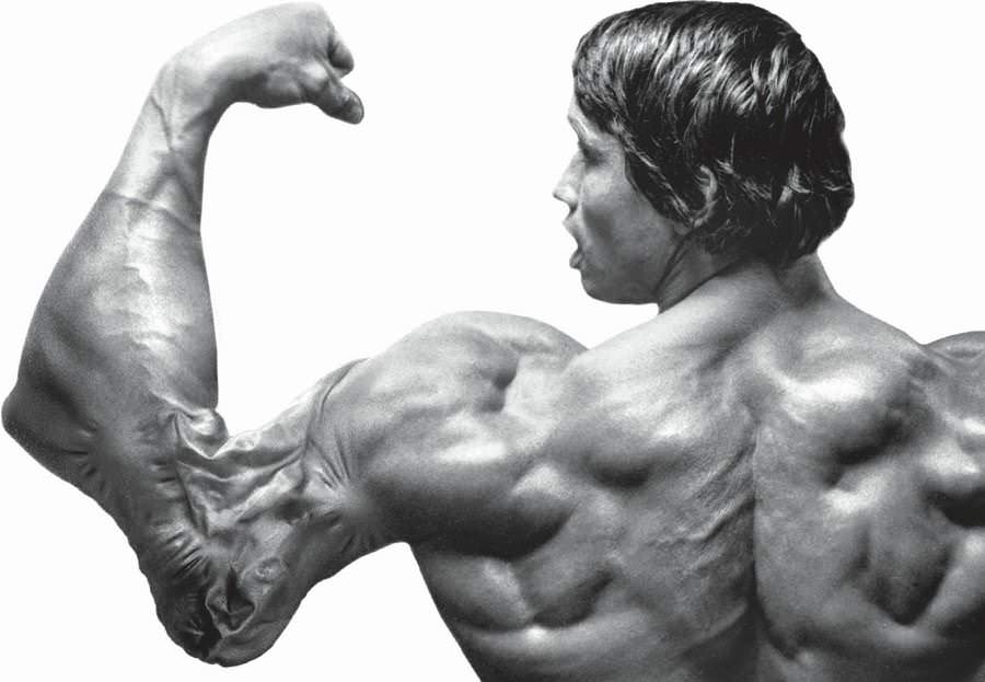 How MusclePharm Went From Swole to Twig