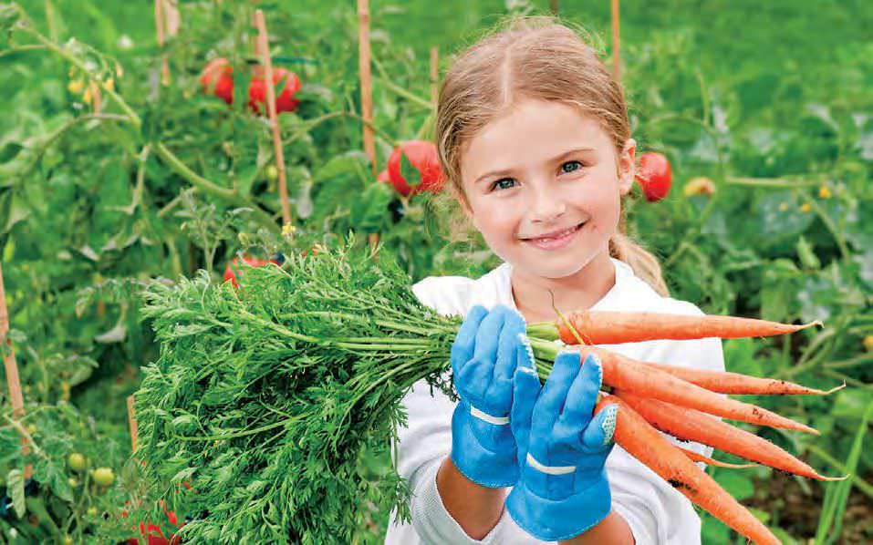 Hello, Carrot Lovers&hellip;This Is for You! International Carrot Day 