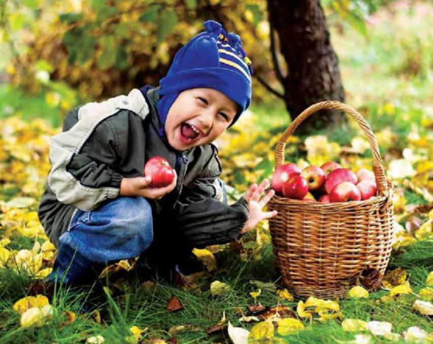 Food For Health!