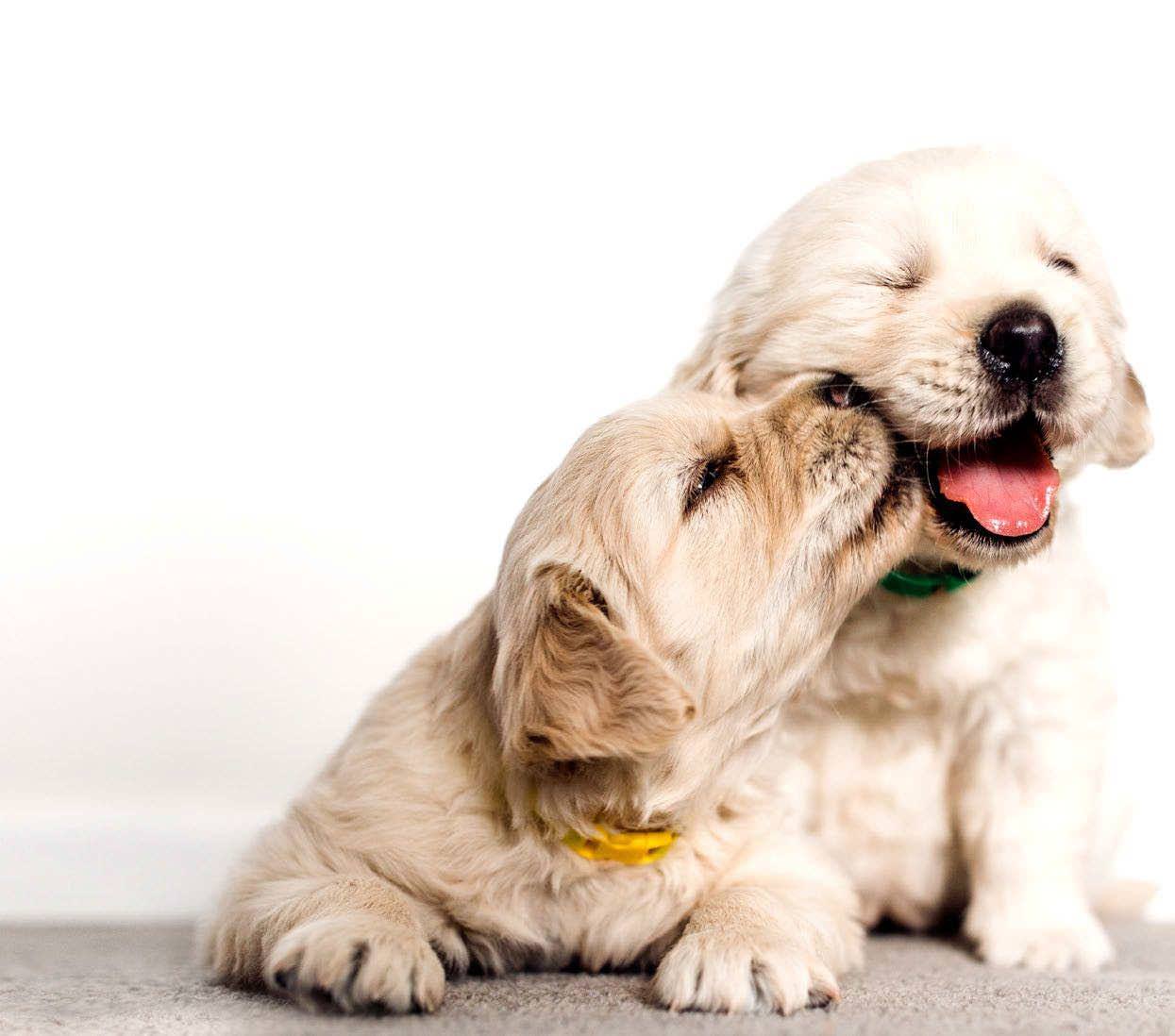 How To Use Your Relationship For Your Own Self-Care