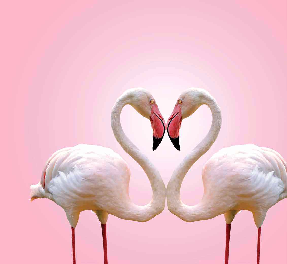 Como El Amor Puede Mejorar Tu Autoestima