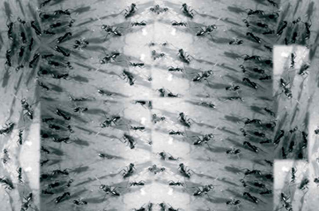 Fold / Unfold