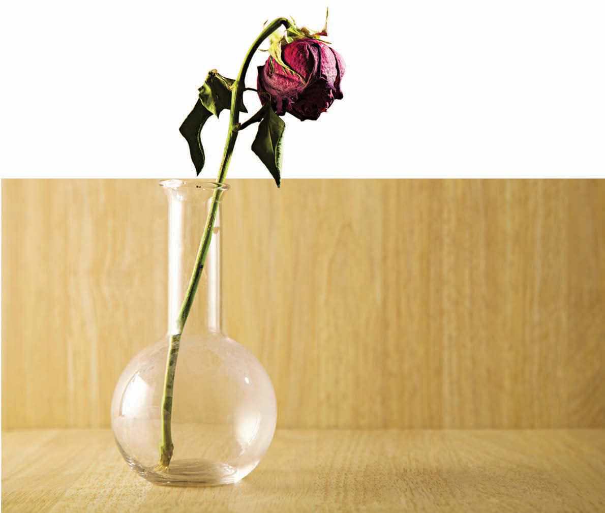 Frigidity In Sex