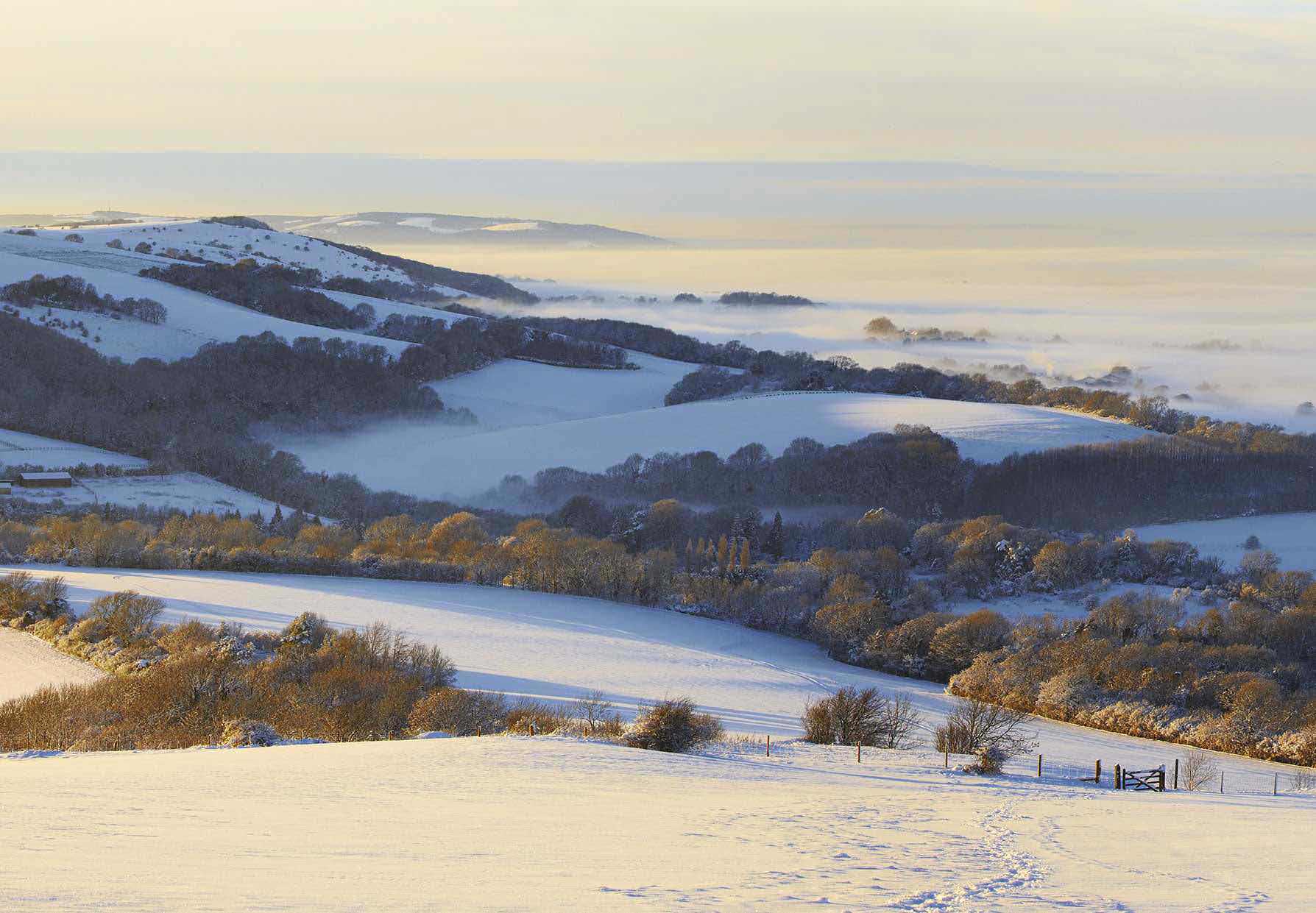 The South Downs