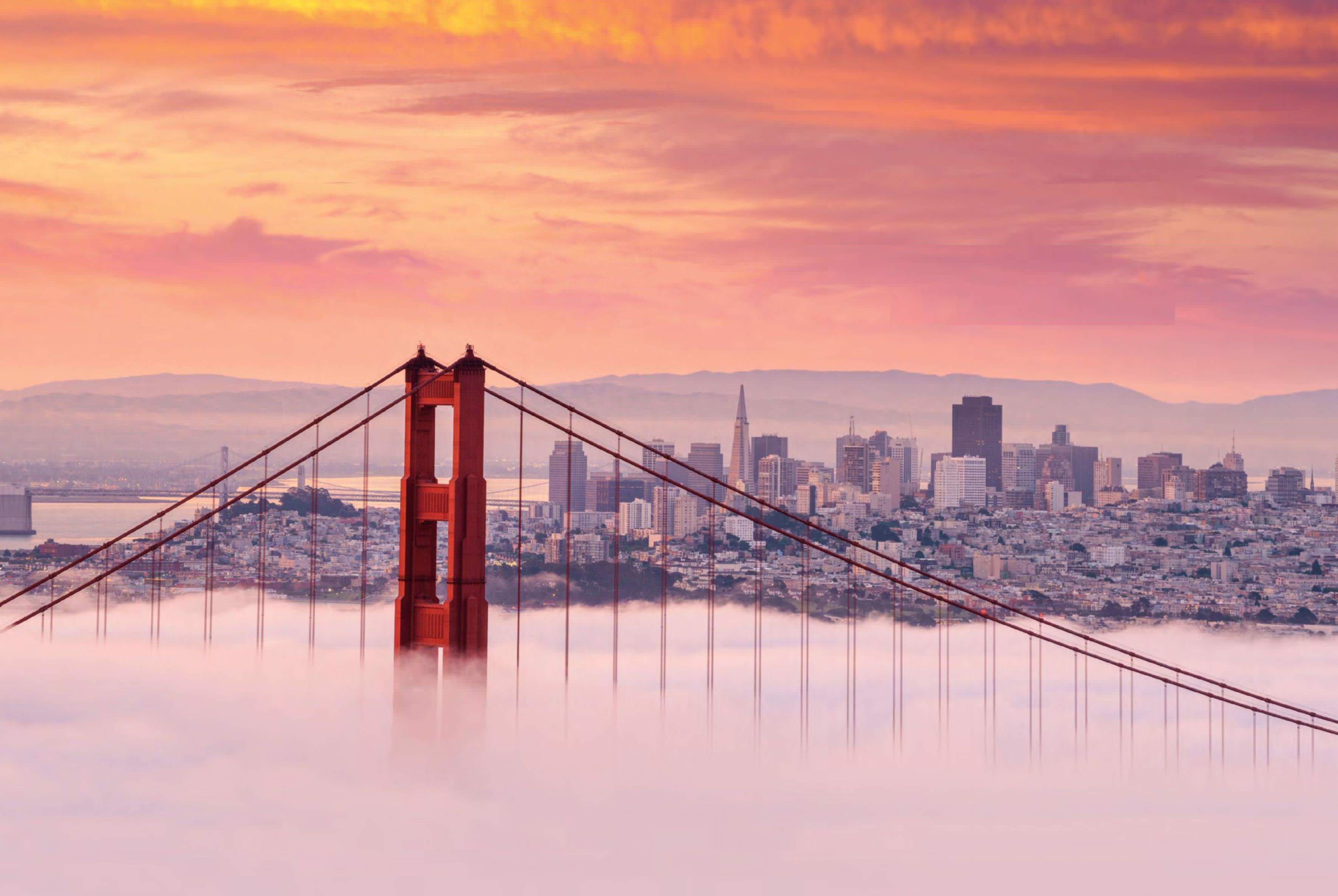 ‘If You're Going To San Francisco…'