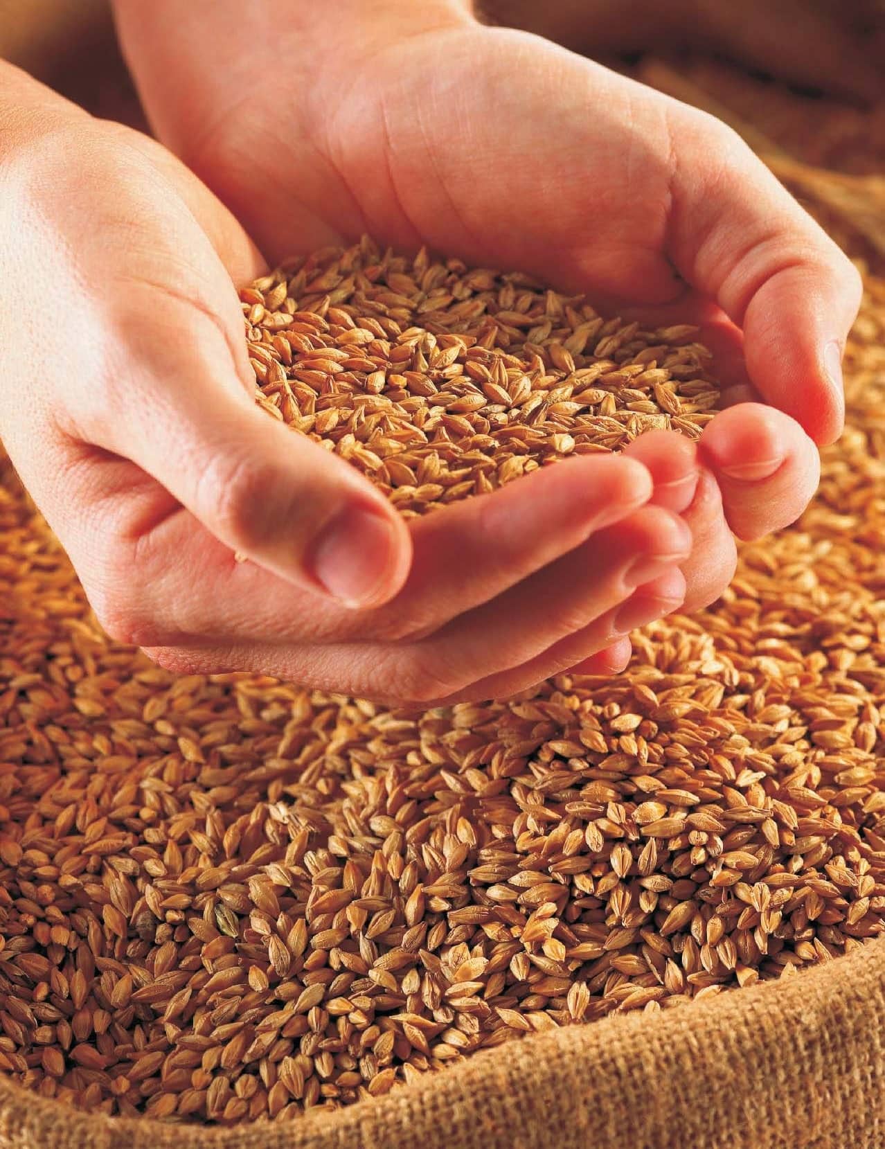 Increase Your Fibre Intake