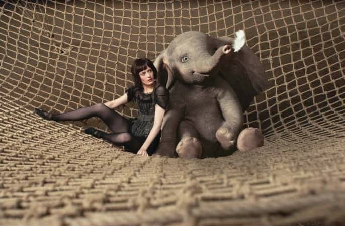 An Elephant Suffers, And You Will Too