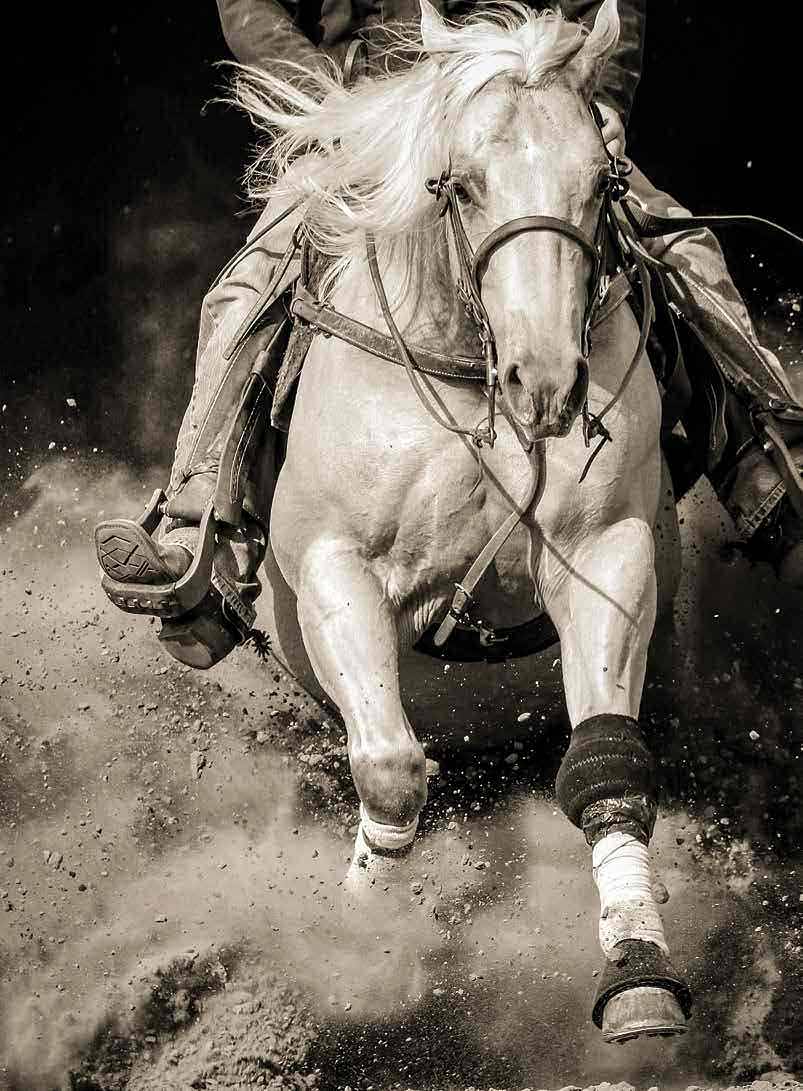 If Heartaches Were Horses