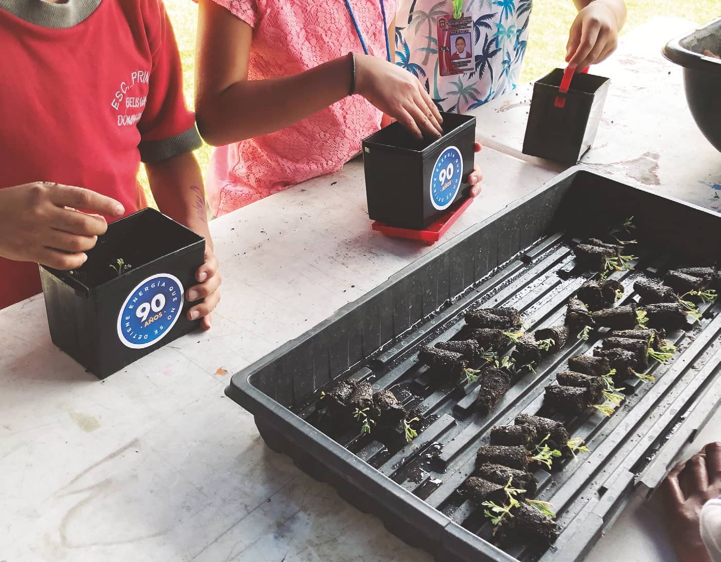 Xochitla, Una Experiencia Educativa En Pro Del Medio Ambiente