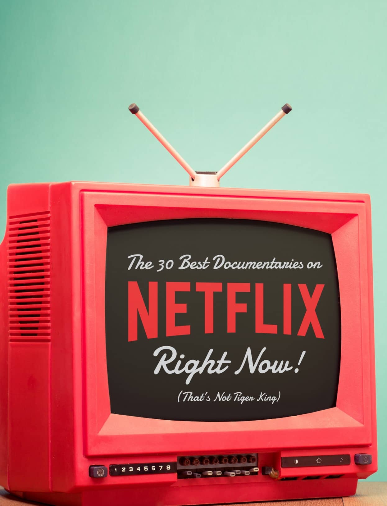 The 30 Best Documentaries on NETFLIX Right Now! (That's Not Tiger King)