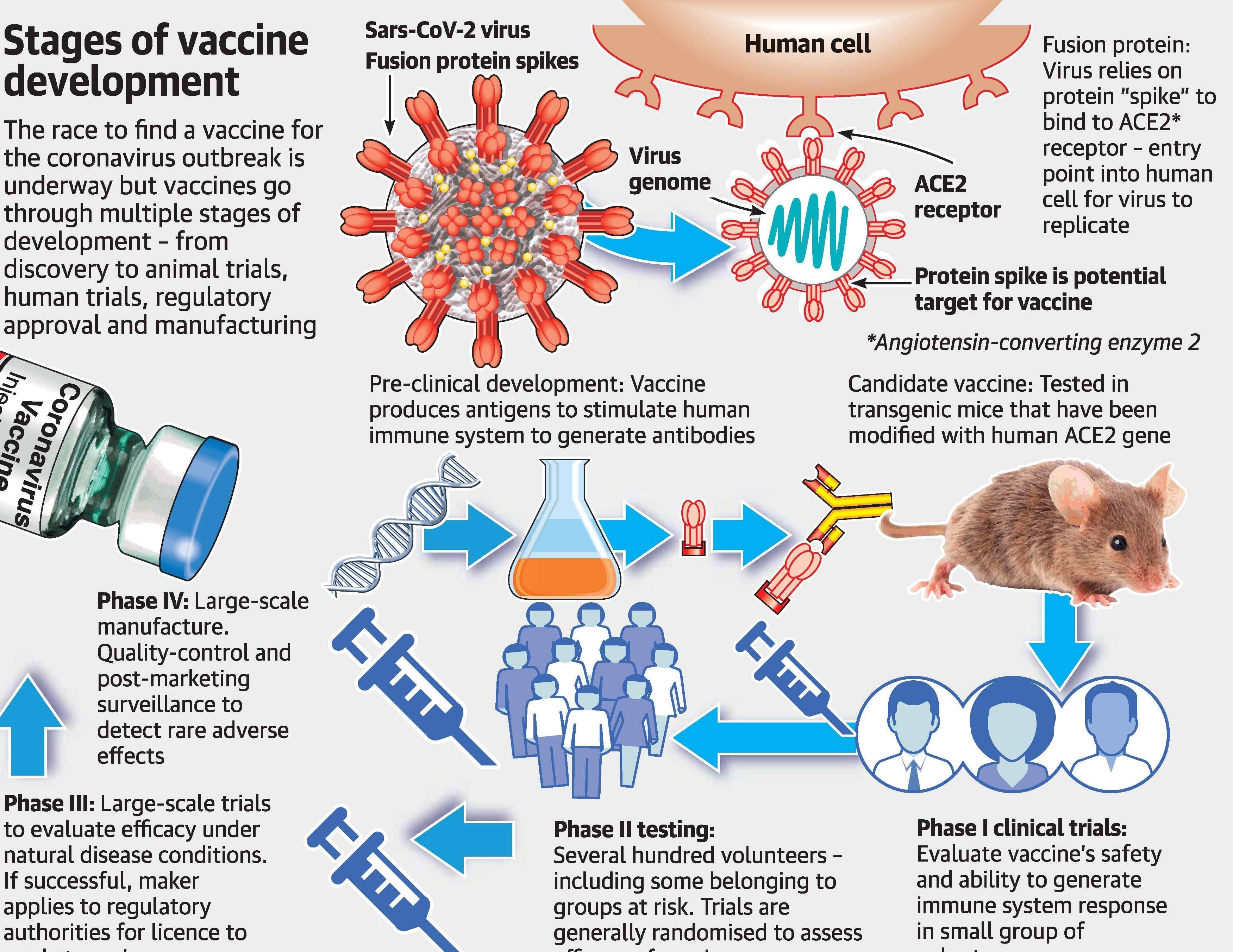 When Will A Covid-19 Vaccine Be Ready?