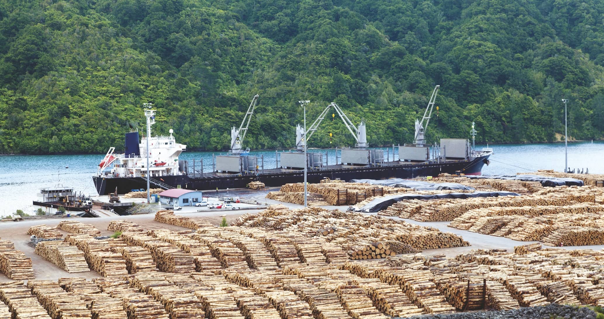 WOOD IMPORTS VARIETY IS THE SPICE