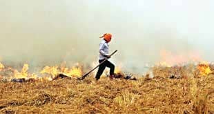 CM Blames Stubble Burning For Spike In Pollution Levels