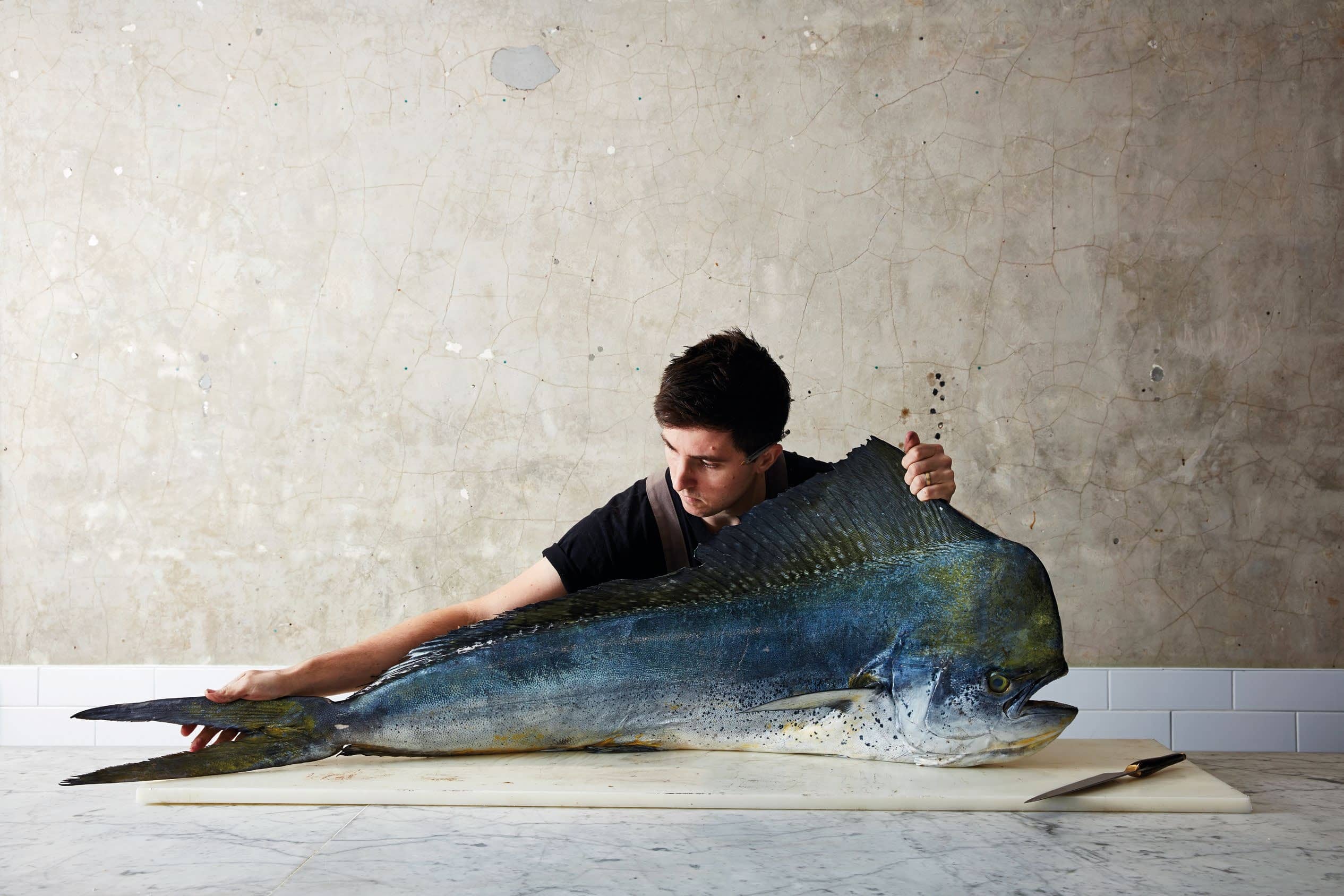 Celebrating Fin-To-Gill Eating