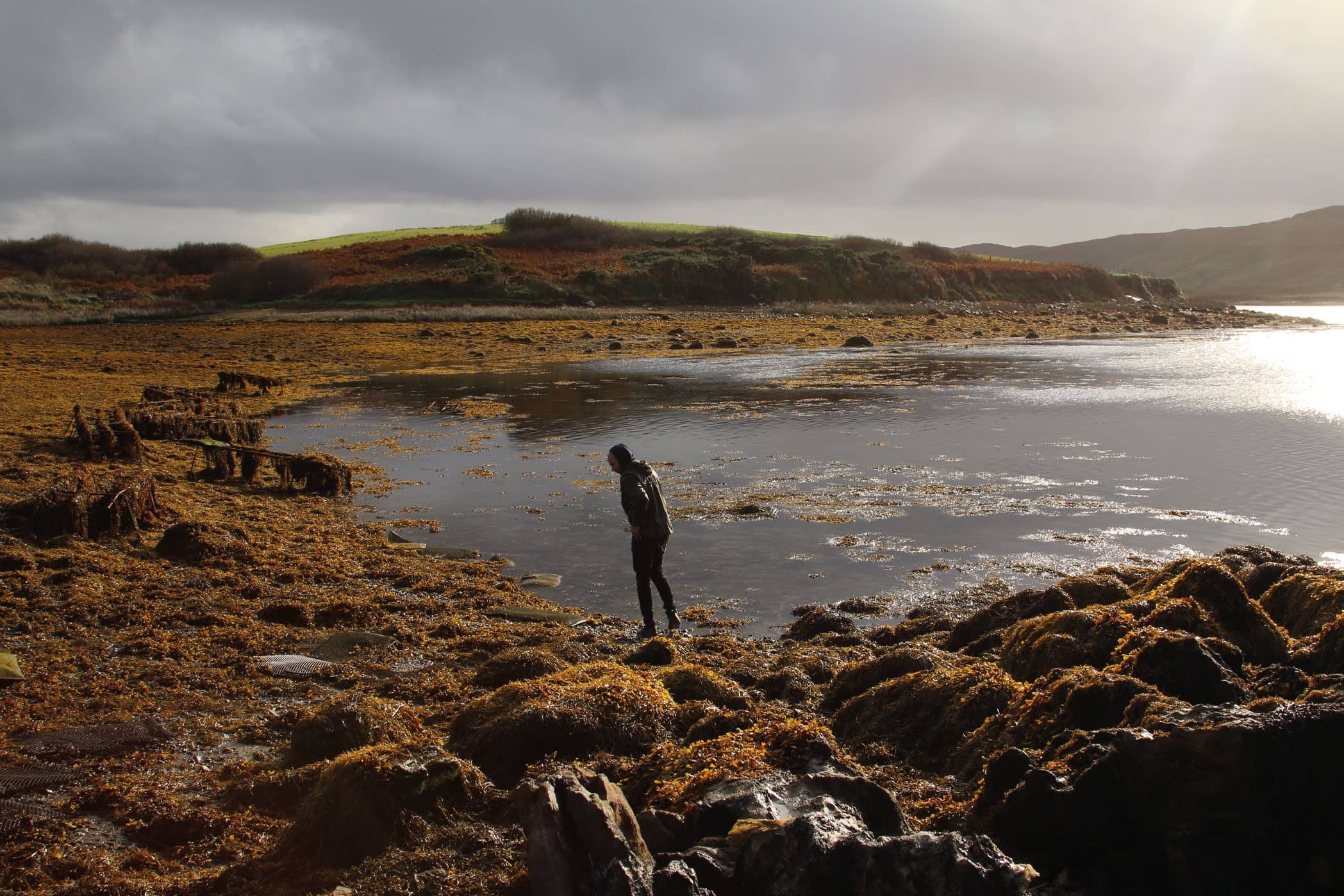 An Introduction To Irish Cuisine 101