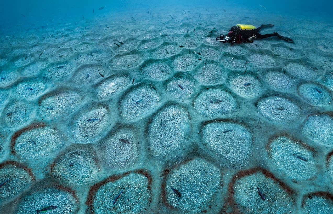 One Good Thing That Resulted From The Lockdown