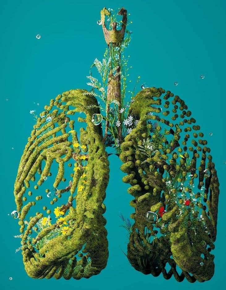 The Strange Health Experiments Of Silicon Valley's Wealthy Elite