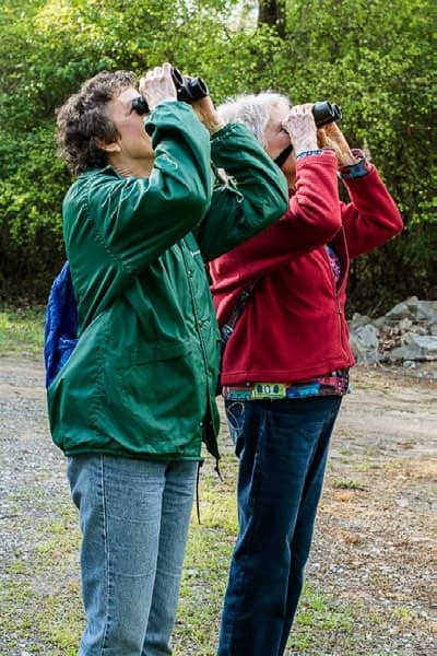 Christmas Bird Count