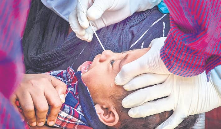 Virus Immunity Not Long Lasting: Study