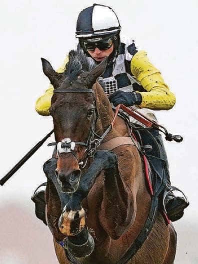 DESTINATION TROPHY BID IS DERAILED