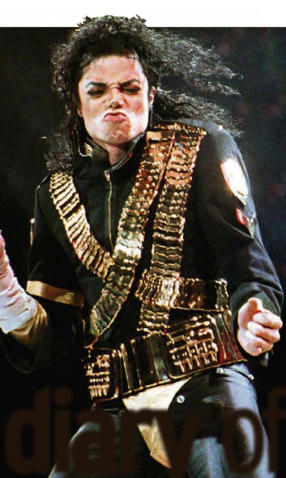 Secret Diary Of Jacko