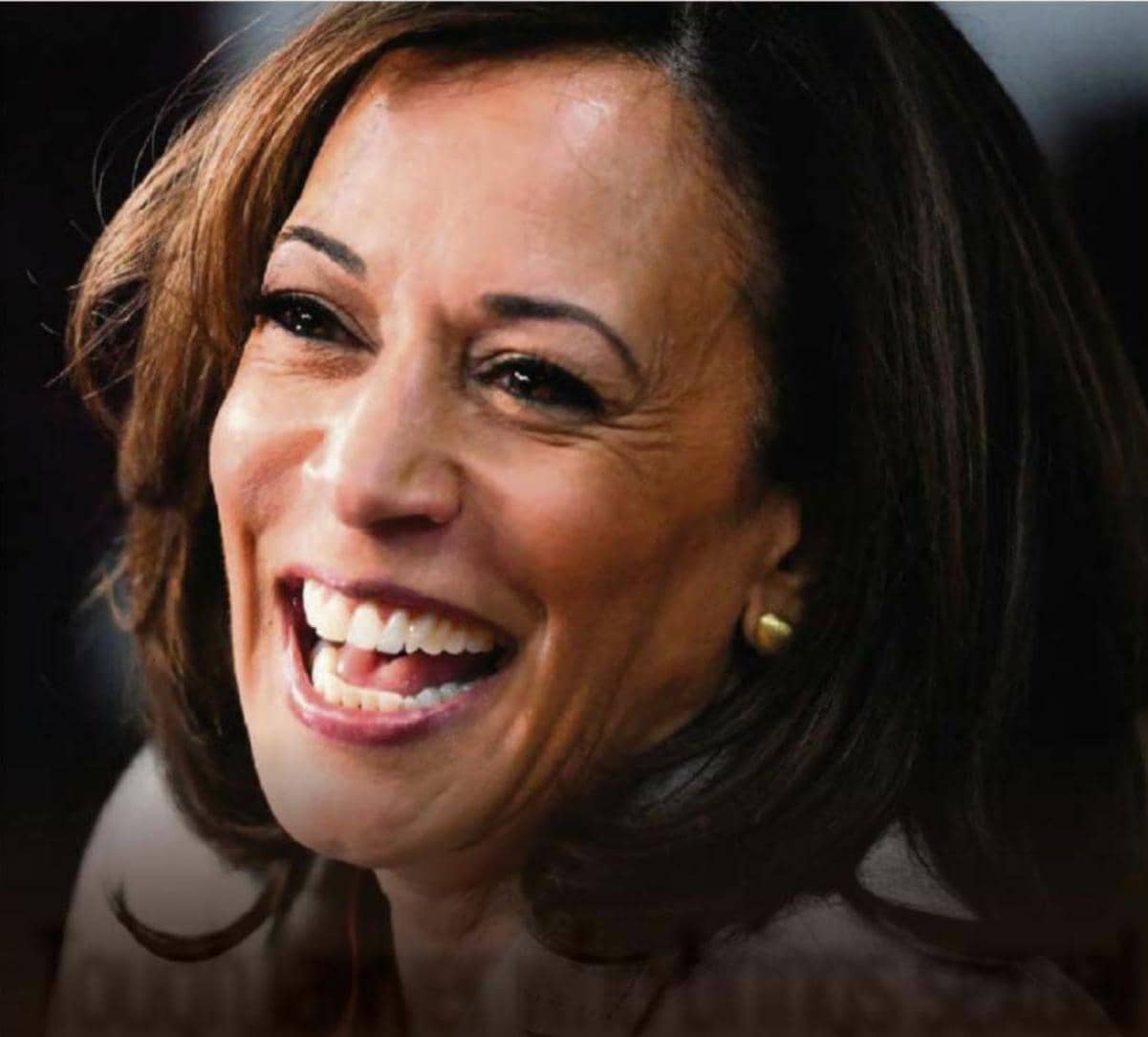 Kamala Harris Joins Biden Ticket - The Female Obama