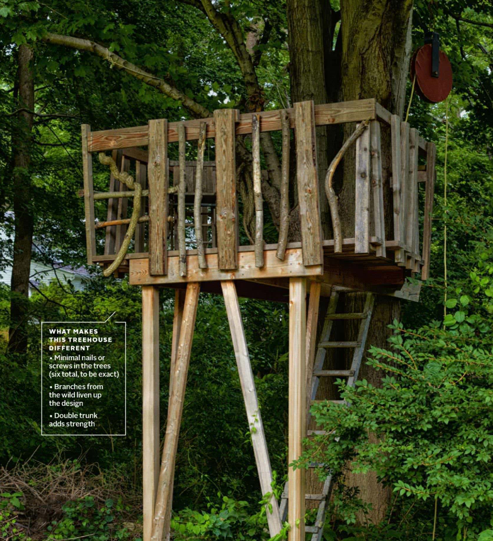 Project : Treehouse