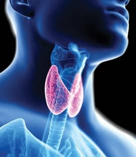 8 Silent Thyroid Symptoms To Look For