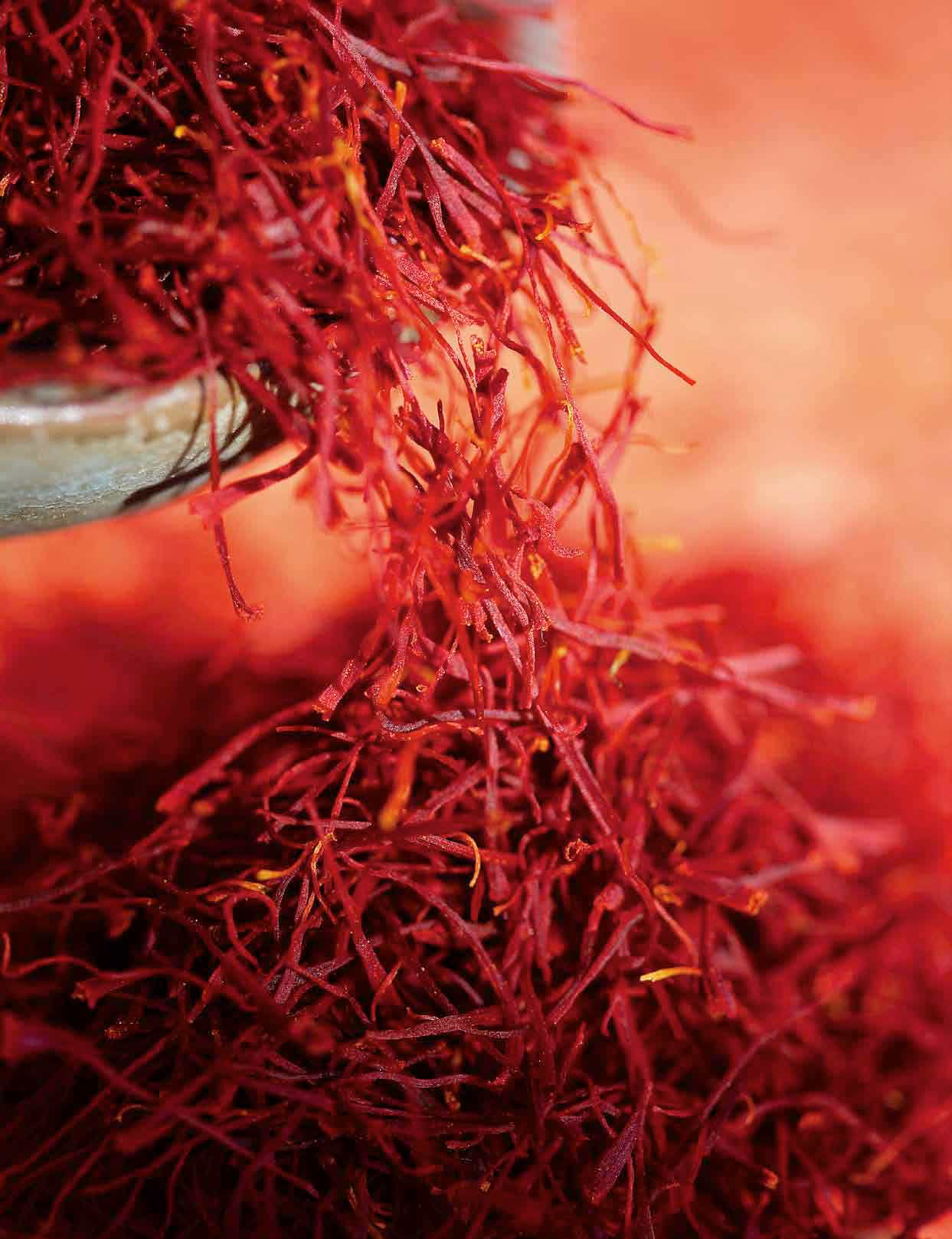 Tales of Saffron and Rose Water