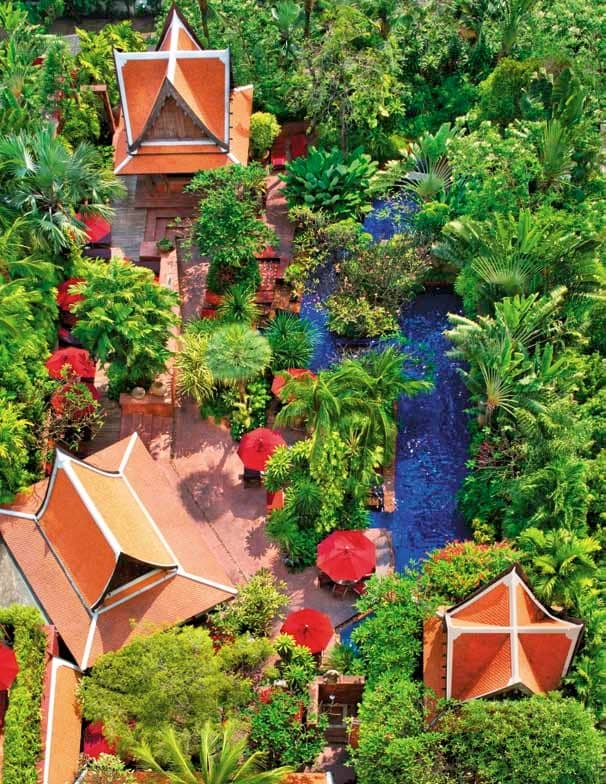 Great Expec-Thai-Tions