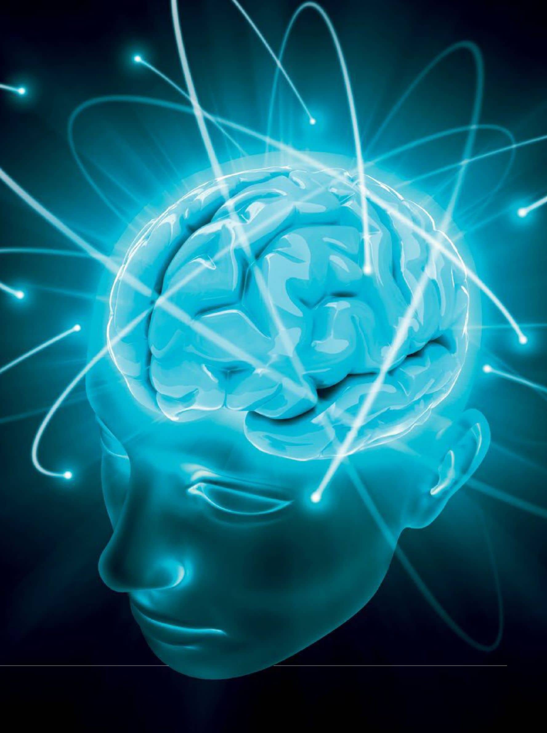 Power Up Your Brain