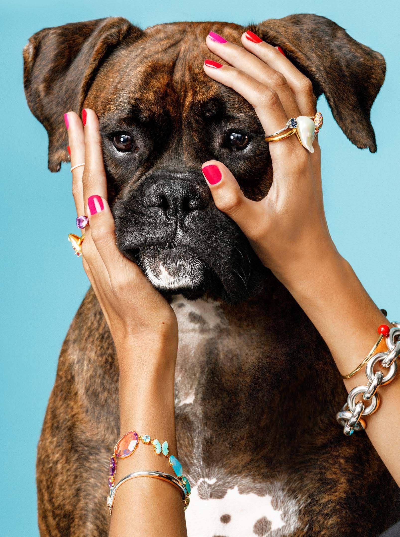 Cute Dogs, Cute Nails, and Cute Jewellery - Because You Deserve It