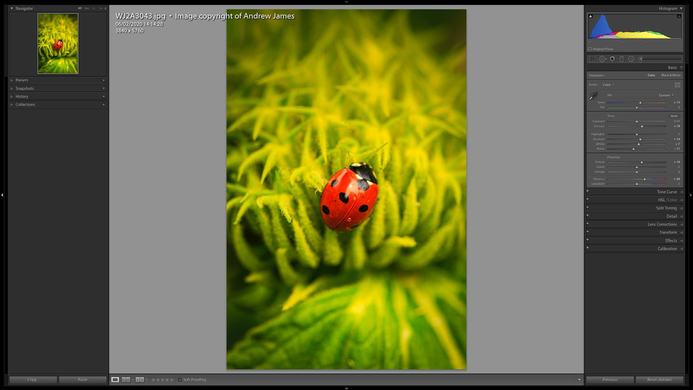 Photo Answers