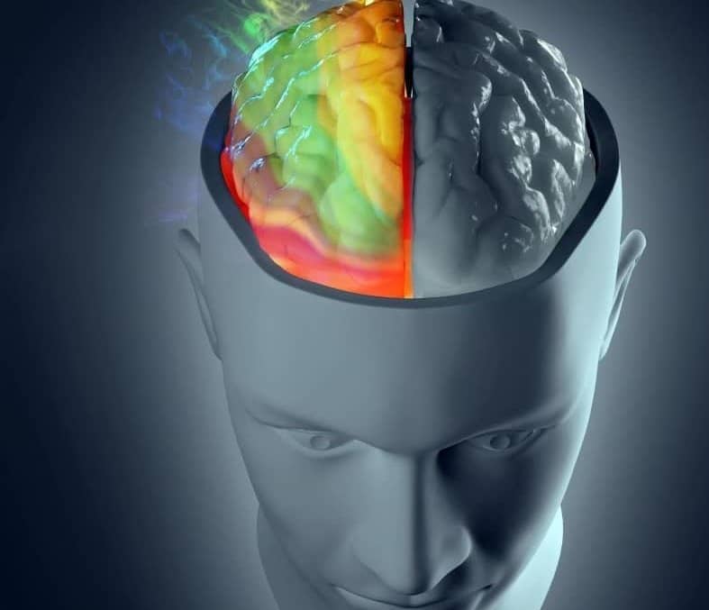 Are You A Left-Brain Thinker Or A Right-Brain Thinker?