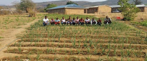 Food Gardens At Rural Schools
