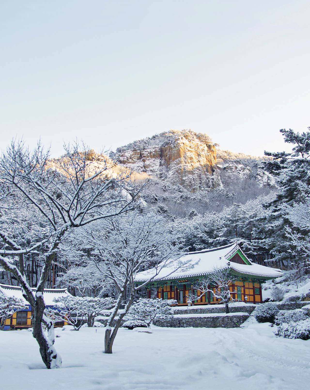 Experience South Korea's Magical Winter