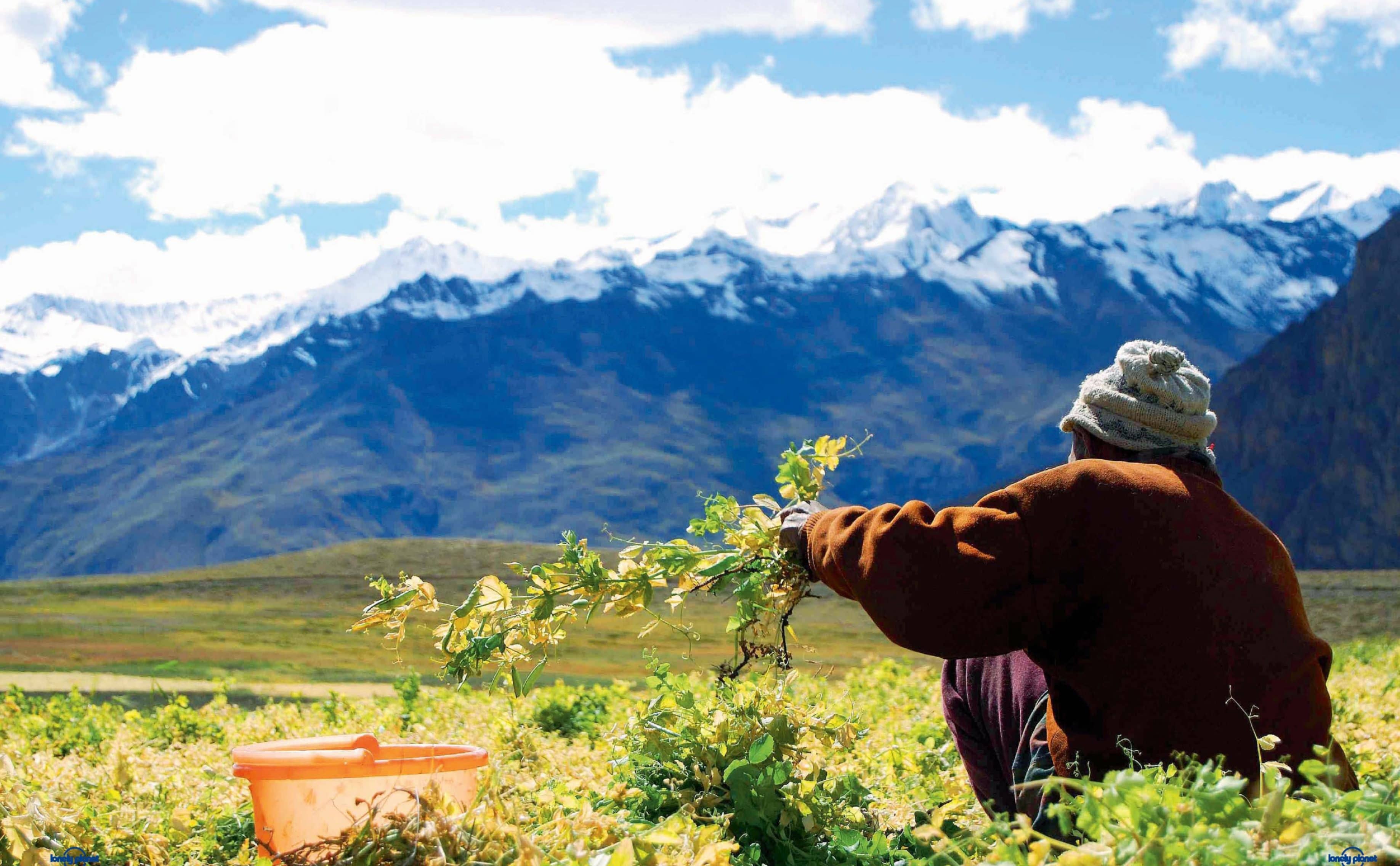 Spiti Valley- A Stairway To Blue Skies