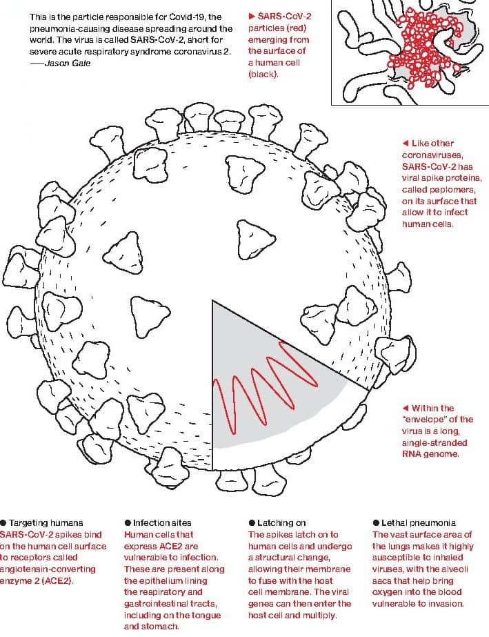What do we know about the virus?