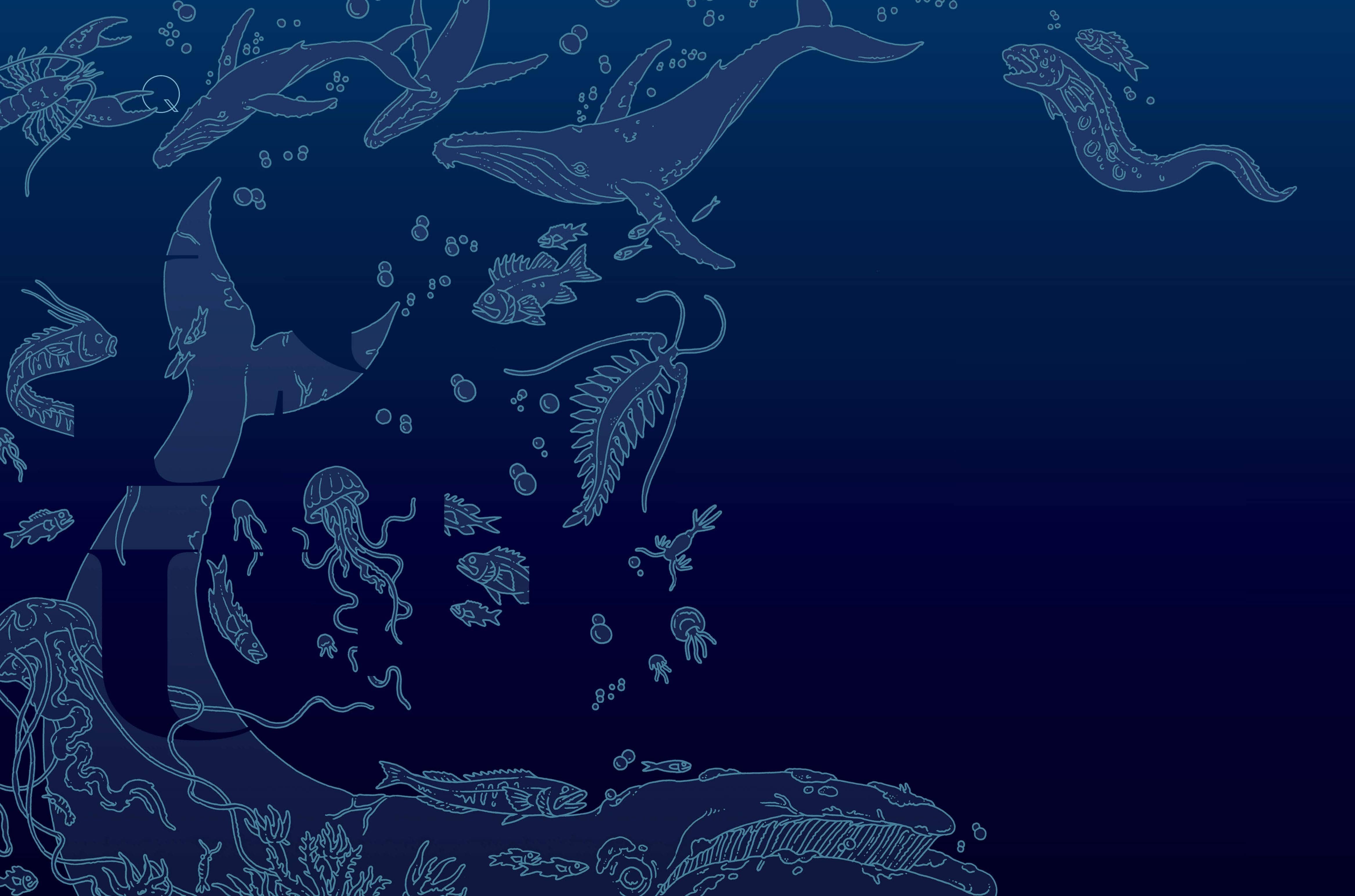 Is Life Loud In The Ocean?