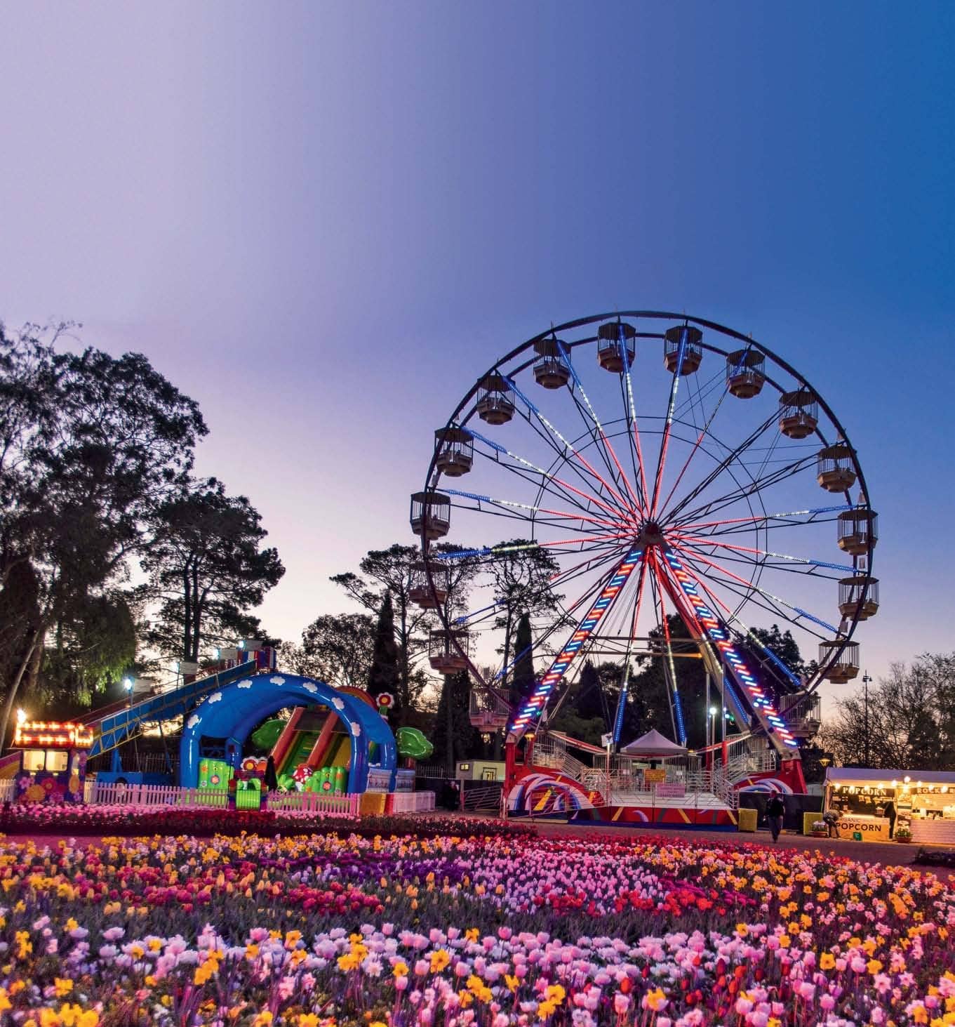 6 Of The Best Things To Do In Canberra