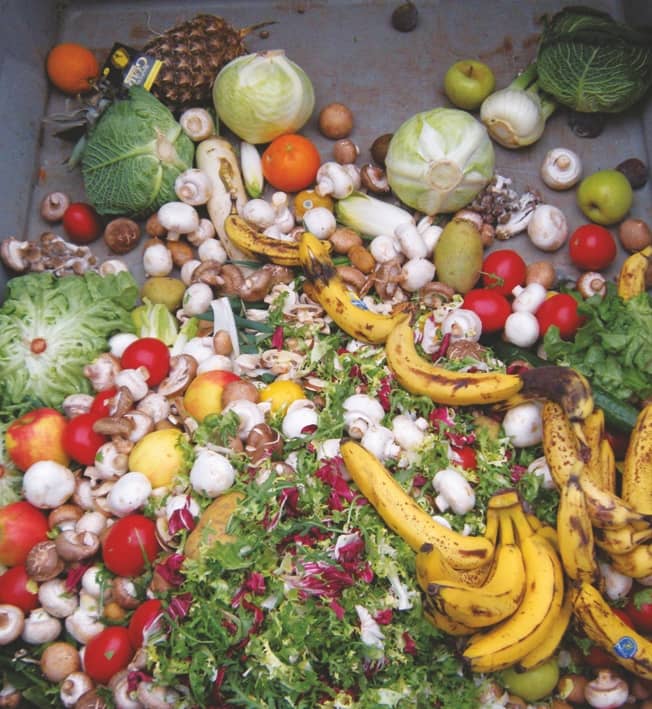 Sustainable Food Waste Management