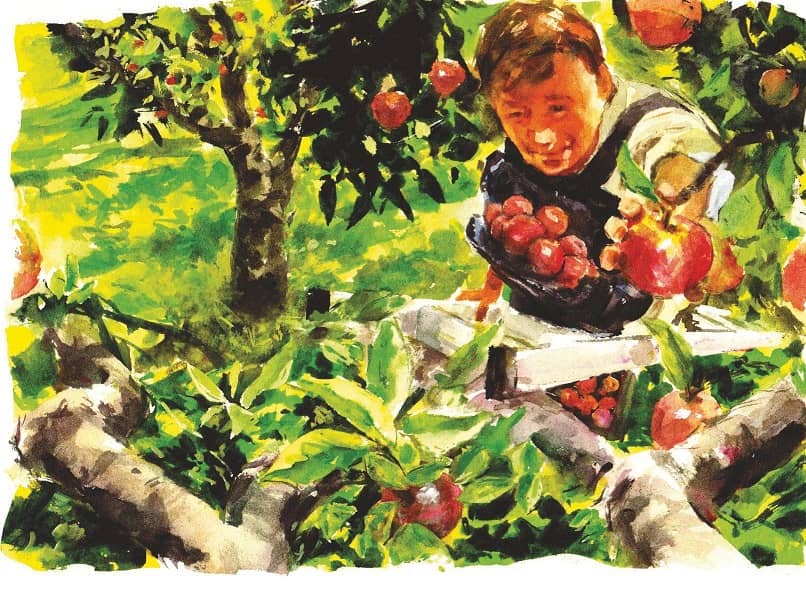 Ripe for the picking