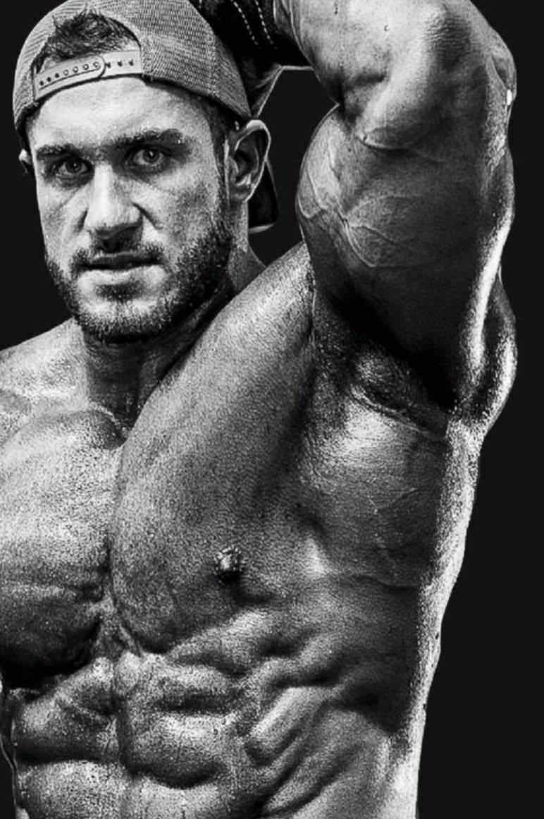 Danielle Mattoon Fat Attack