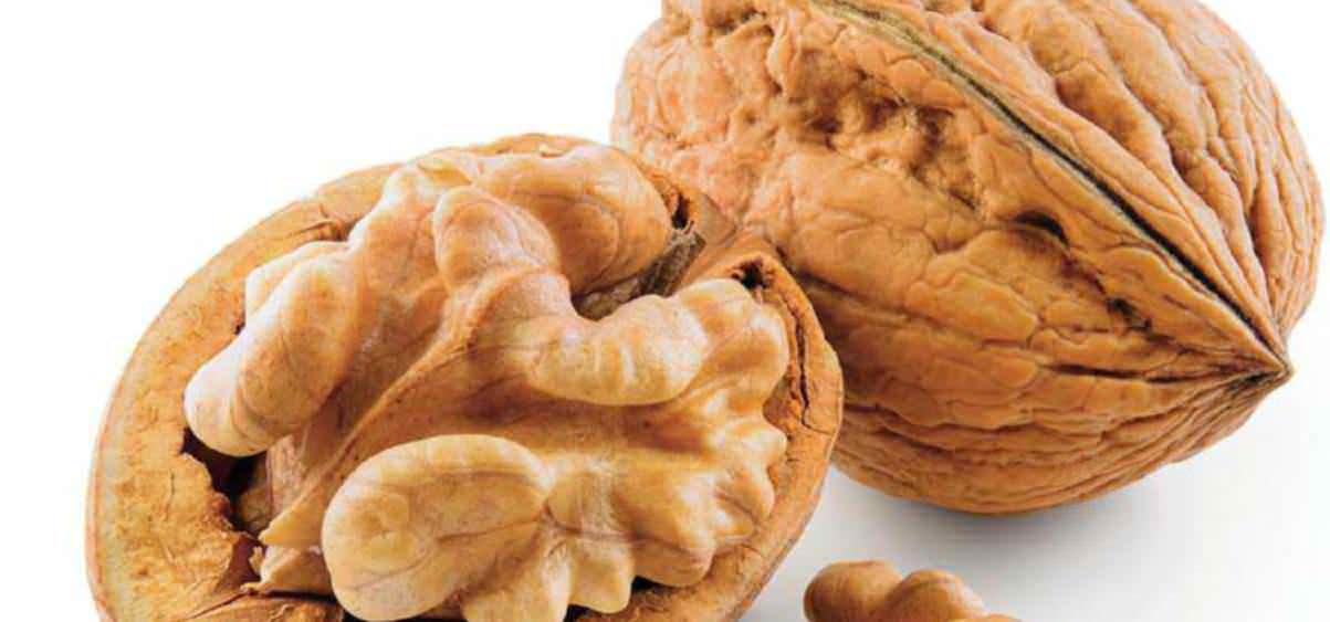 Weight loss walnuts