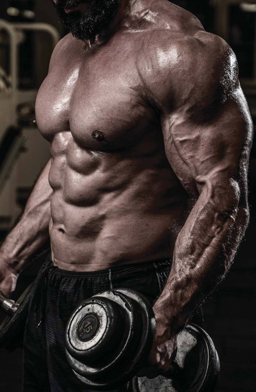 Top 10 Bulking Supplements for 2020 - Muscle & Fitness