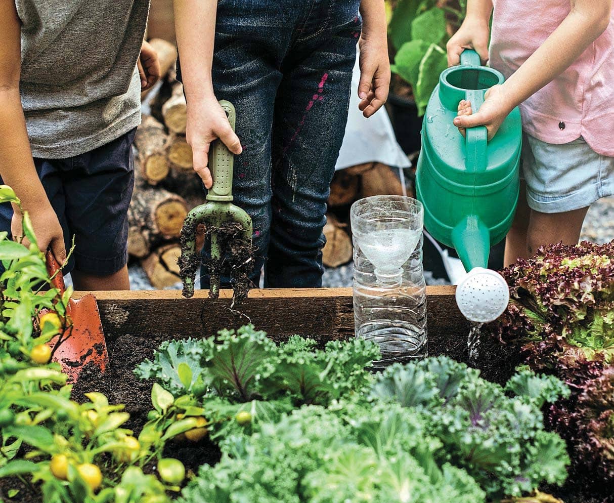 LITTLE GREEN FINGERS