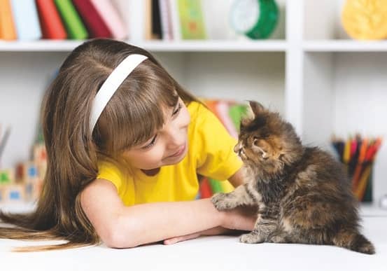 My First Cat